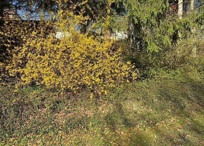 公寓 Sternenhimmel Lichtenberg (Bavaria)